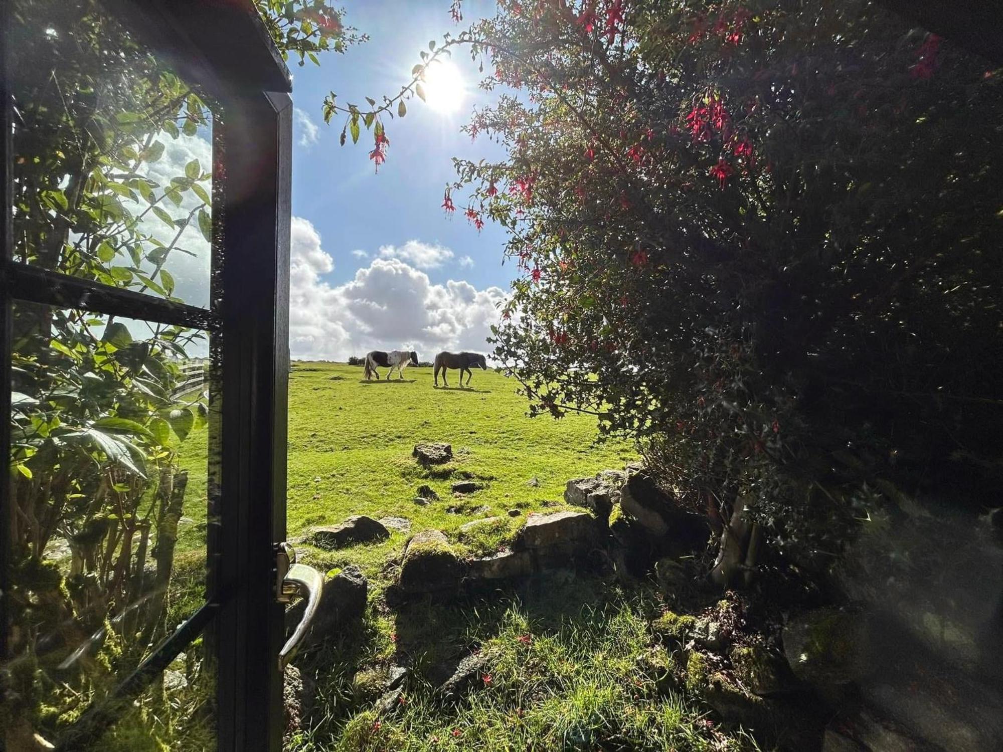 Hallagenna Cottages ボドミン エクステリア 写真